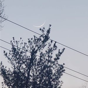 Meet your Posher, Salma